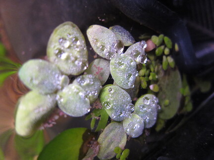 20120405 233042